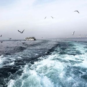 三年大片观看哔哩哔哩
